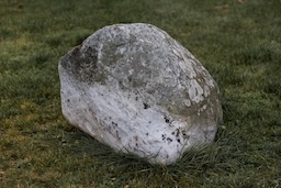 rock in the forest