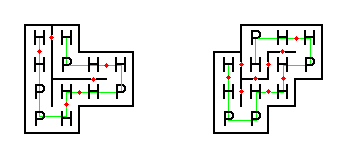 two possible ways to fold example protein